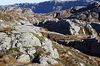 Tollak_20241010_6707f46c74b1e.jpg