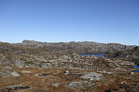Tollak_20241010_6707f46d16a6b.jpg