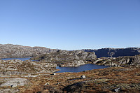 Tollak_20241010_6707f46d9d68e.jpg