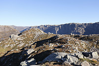 Tollak_20241010_6707f46ff28cb.jpg