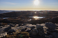 Tollak_20241010_6707f4786721a.jpg