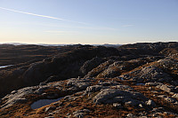 Tollak_20241010_6707f478f1c2f.jpg
