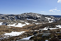 Tollak_20241011_670946b62a251.jpg