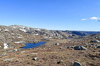 Tollak_20241011_670946bad4f8a.jpg
