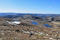 Tollak_20241011_670946bb7391c.jpg