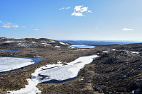 Tollak_20241011_670946bcb1c5c.jpg