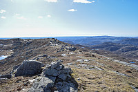 Tollak_20241011_670946bd489f4.jpg
