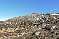 Tollak_20241011_670946bf038eb.jpg