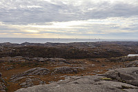 Tollak_20241019_67137d520eb4d.jpg