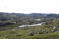Tollak_20250805_68922b6b91523.jpg