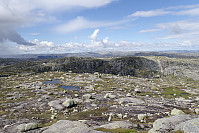 Tollak_20250805_68922b6d76385.jpg