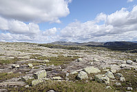 Tollak_20250805_68922b712b2cf.jpg