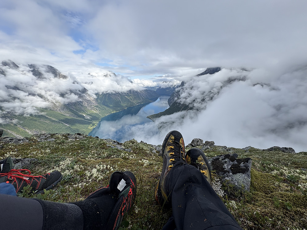 Pause etter svaene, på hyllesystemet