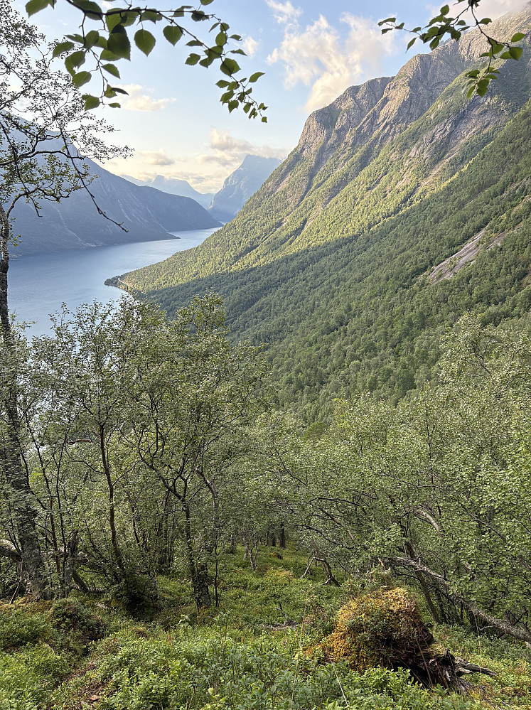 Inn på tråkket igjen, og ned siste bakkene.