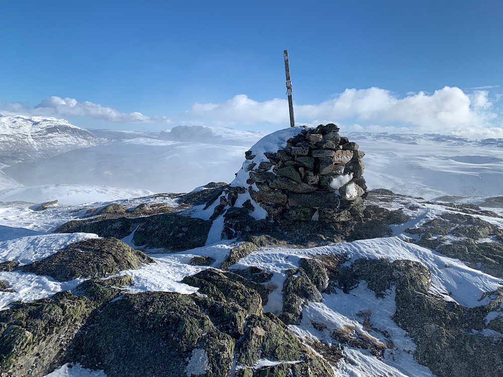 Stølsnøse