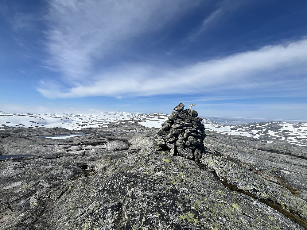 Skjemmehorgi
