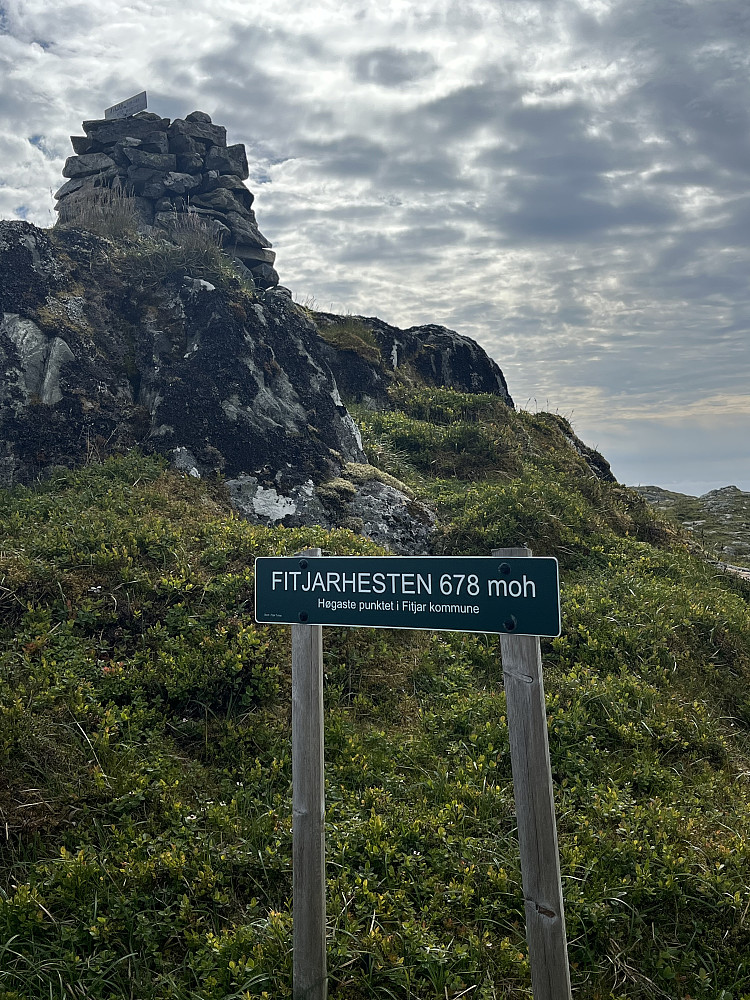 Fitjarhesten 