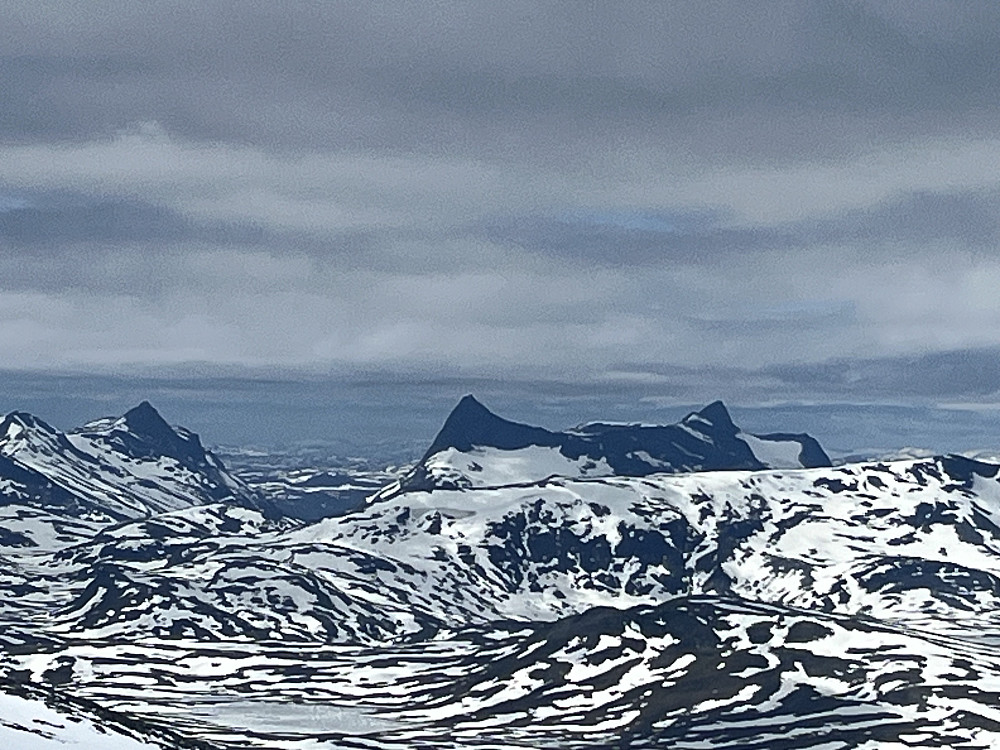 Falketind i det fjerne