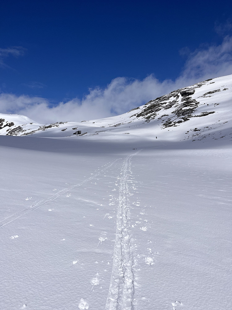 Innover Vetle Frostdalen