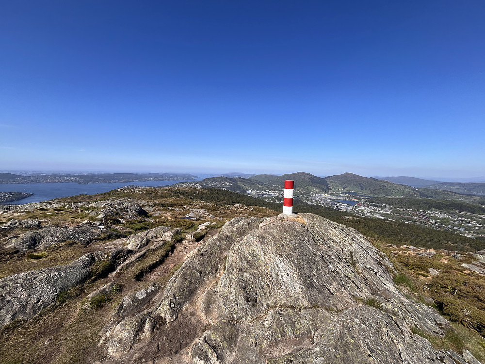 Storsåta