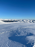 Terje61_20230315_6411fdd3031dd.jpg