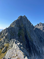 Terje61_20240907_66dc62fc9d5f8.jpg