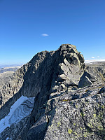 Terje61_20240907_66dc62ff4a569.jpg