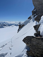 Terje61_20250515_68258837abc3f.jpg