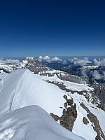 Terje61_20250515_6825883ba411d.jpg