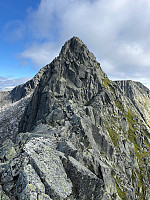 Terje61_20250823_68aa081ed1097.jpg