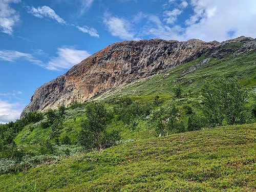 Rustrød Serpentin