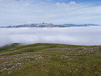 KirstiM_20210726_60ff1f4ac7d2c.jpg