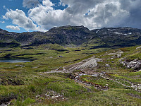 KirstiM_20210808_61104f0a57f4e.jpg