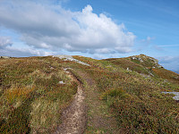 KirstiM_20210903_61326203a3be3.jpg