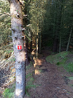 KirstiM_20210917_6144d27d919cf.jpg