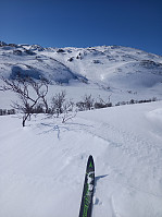 KirstiM_20230410_64344f37b98f1.jpg