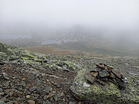 KirstiM_20240707_668ac35b317b9.jpg