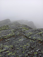 KirstiM_20240707_668ac35f253b2.jpg