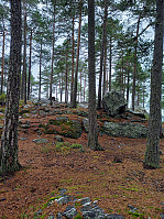 KirstiM_20240707_668ac40c21cf6.jpg