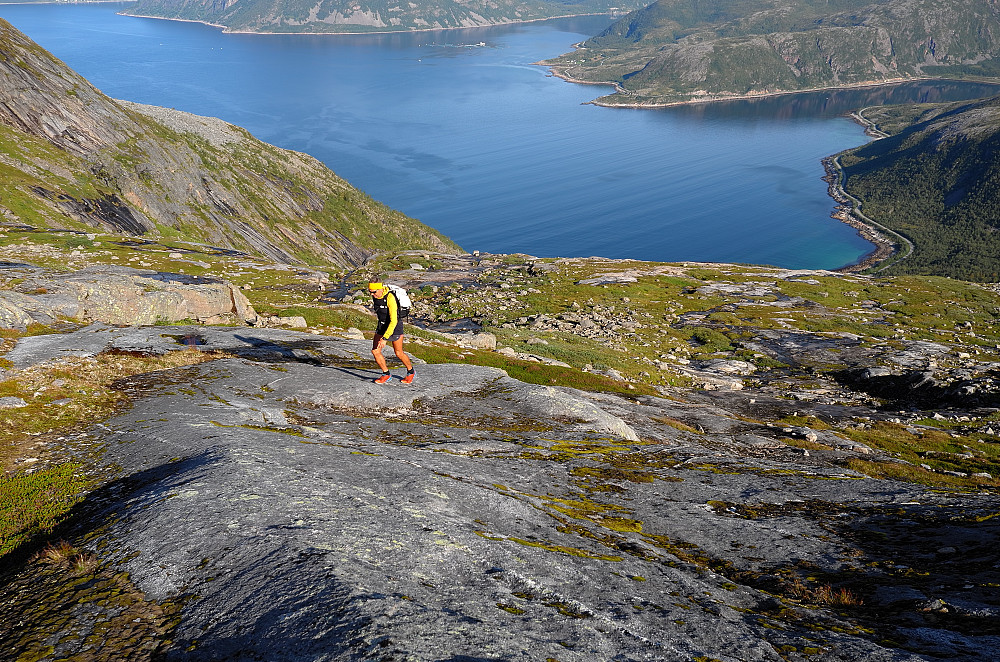 Sifjorden