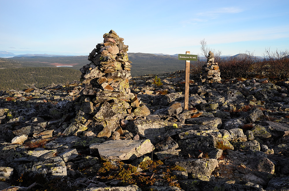 Renåskarven