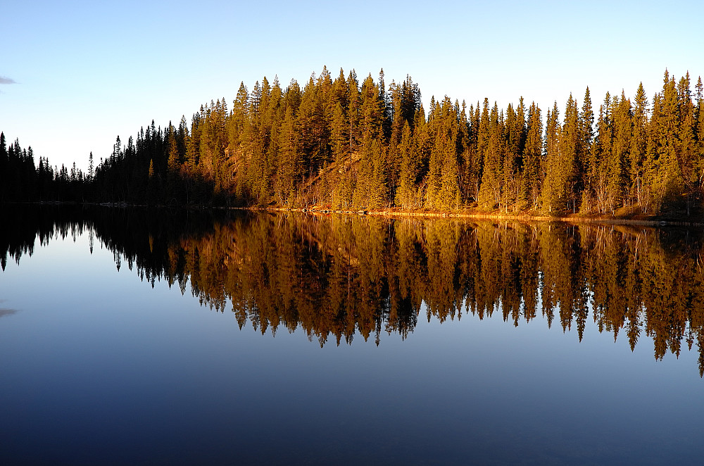 Svarttjønna