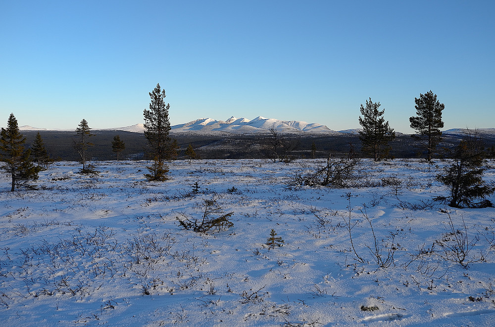 Sølenfjella