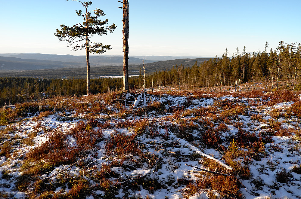 Ulvåsen