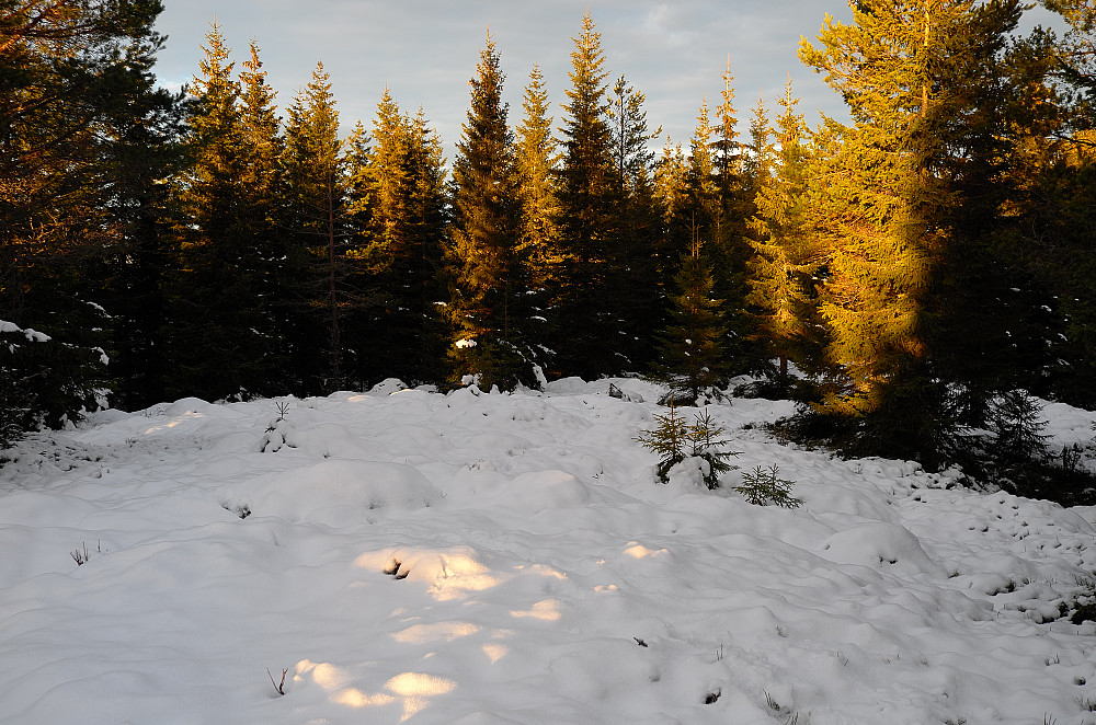 Stormoldberget