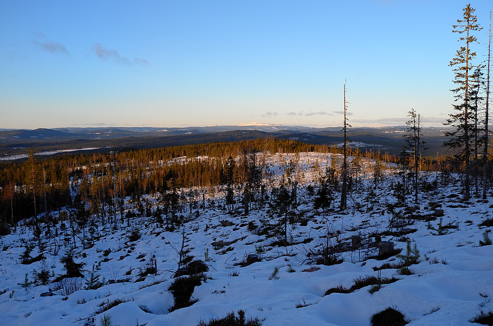 I det fjerne Trysilfjellet
