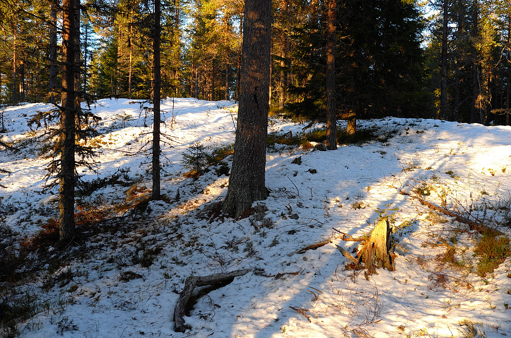 Vestsjøberget 