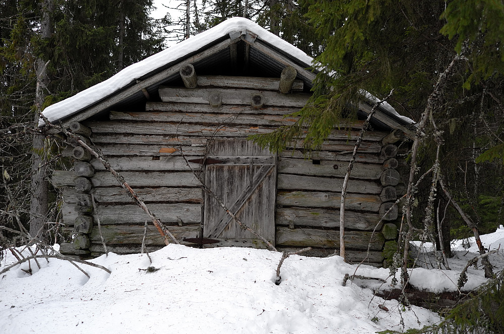 Stordalskoia