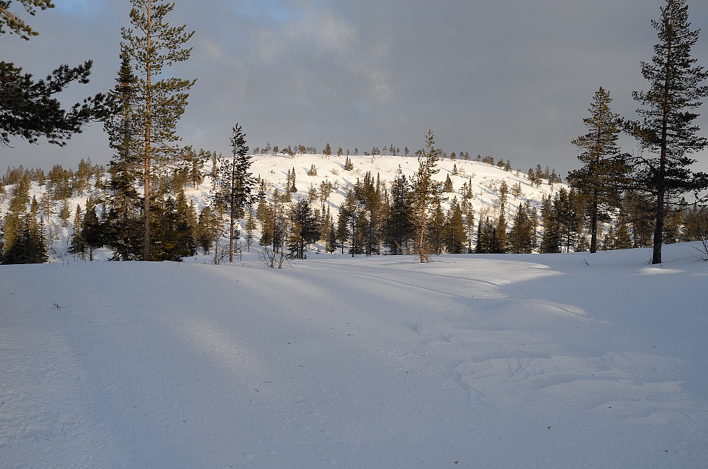 Volfjellet
