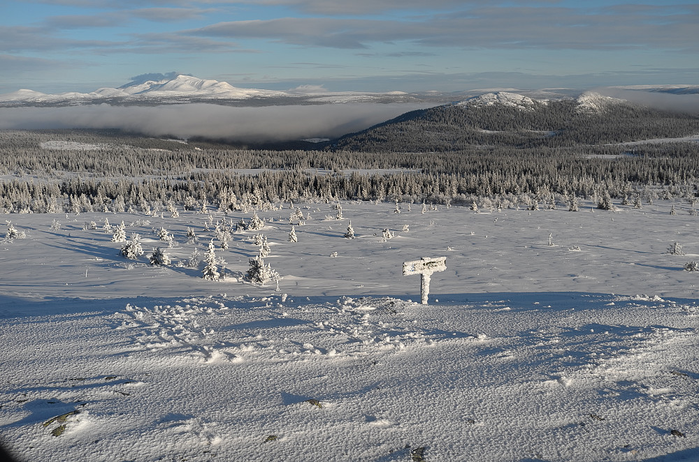 Rendalssølen og Ottlaugkampen
